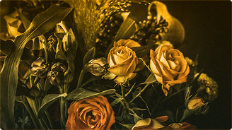 How Our Childhood Maps Our Adult Hearts